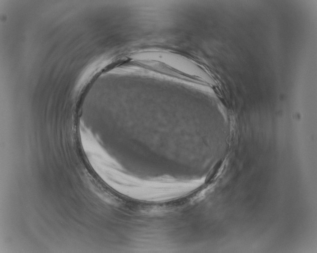 X0000068320293200605192040