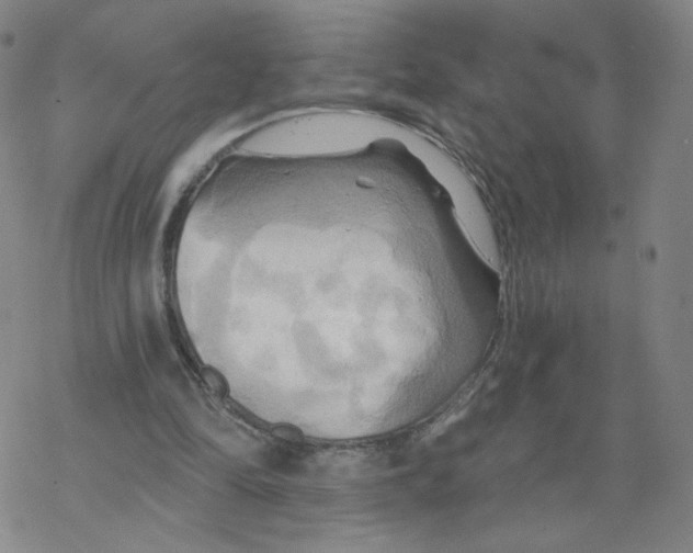 X0000068320294200605192040