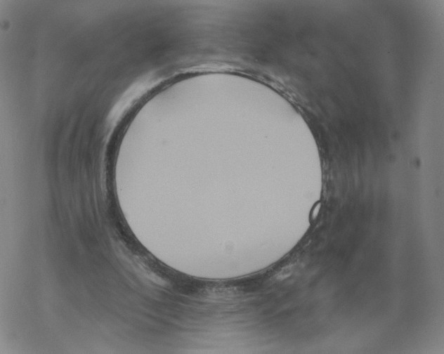 X0000068320296200605192040