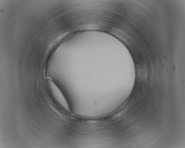X0000068320302200605192040