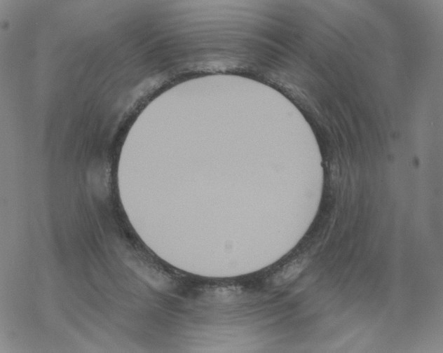 X0000068320304200605192040