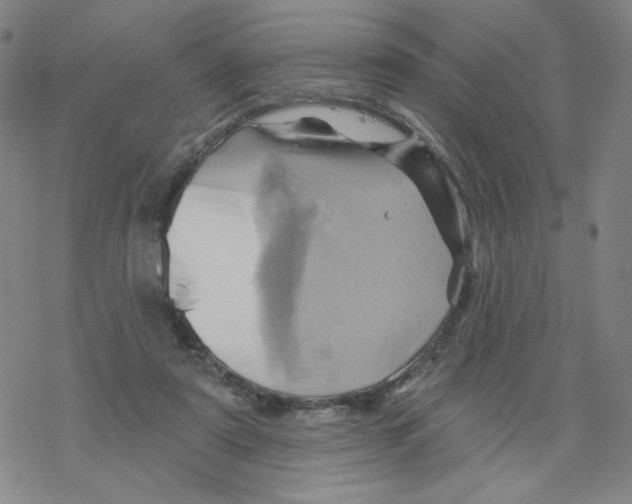 X0000068320307200605192040