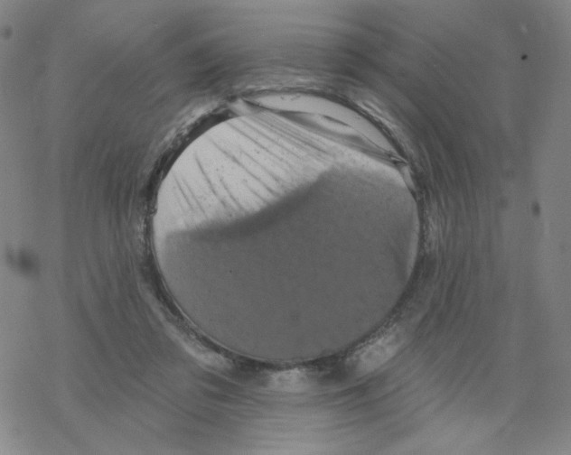 X0000068320309200605192040