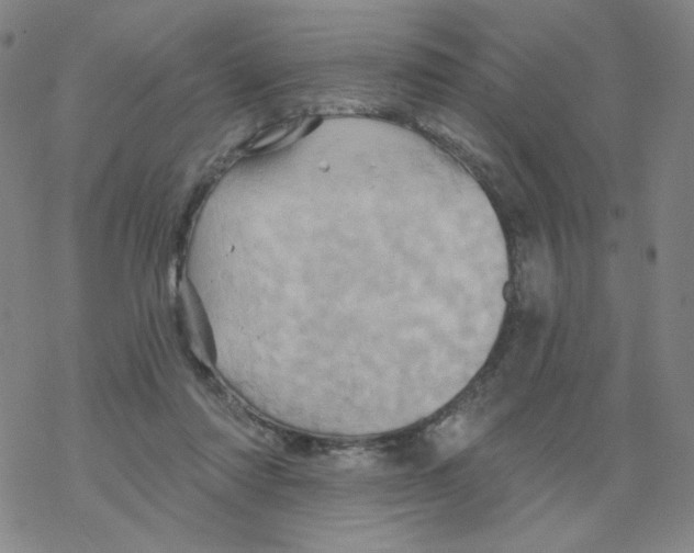 X0000068320310200605192040