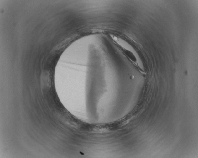 X0000068320311200605192040