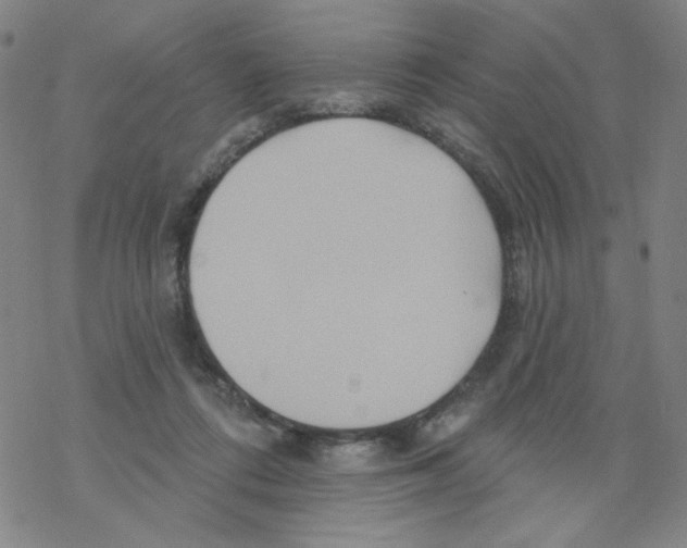 X0000068320312200605192040