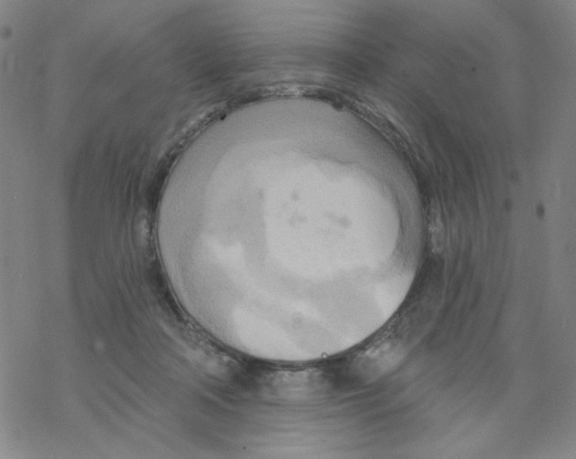 X0000068320314200605192040