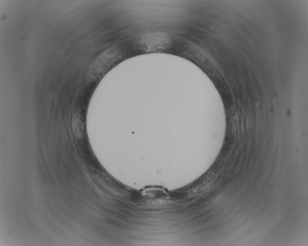 X0000068320316200605192040