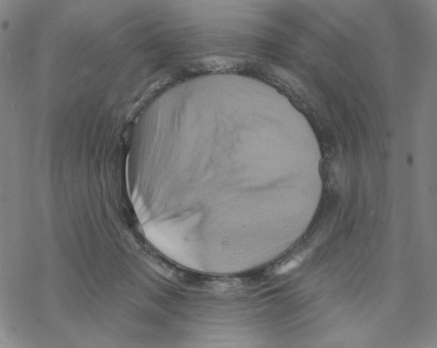 X0000068320317200605192040