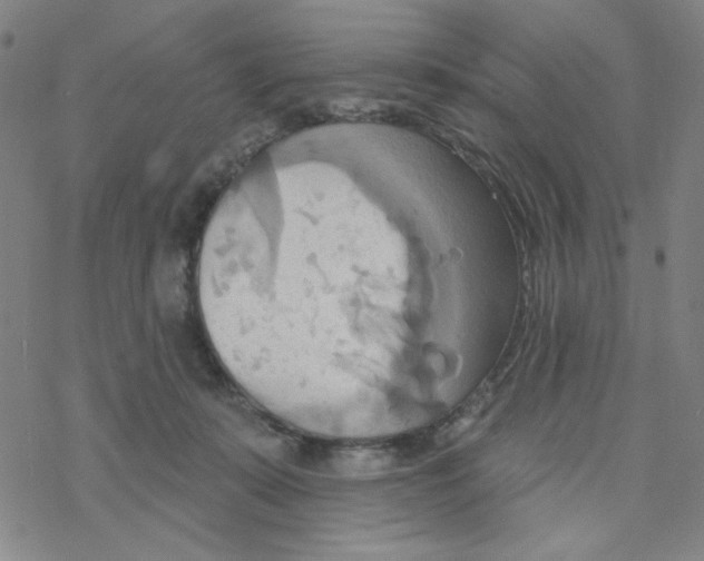 X0000068320319200605192039