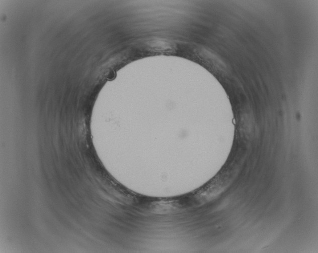 X0000068320320200605192039