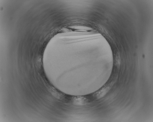 X0000068320321200605192039