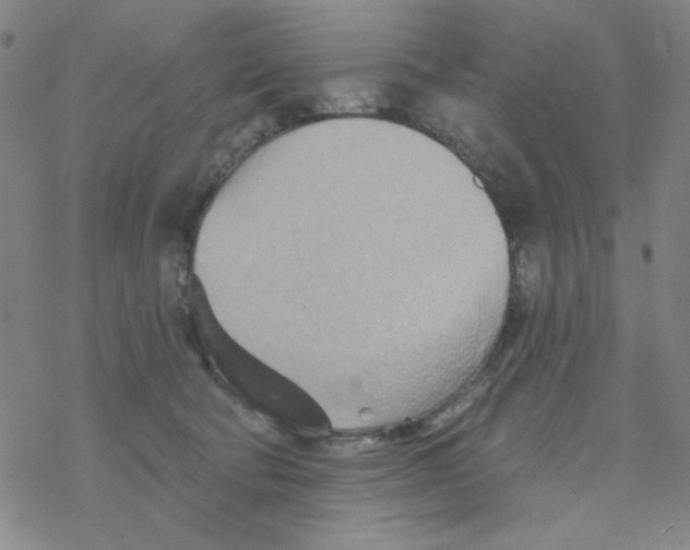 X0000068320322200605192039