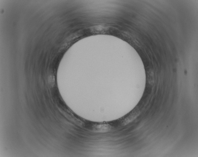 X0000068320324200605192039