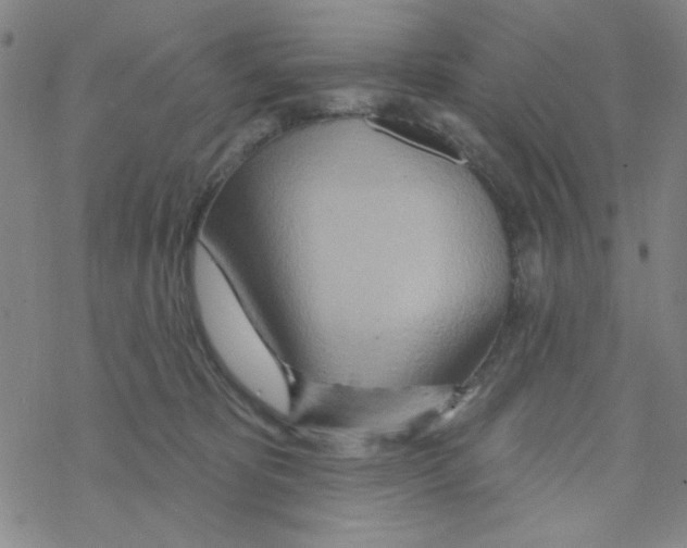 X0000068320325200605192039