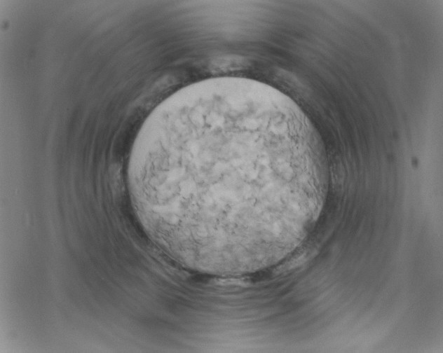 X0000068320327200605192039