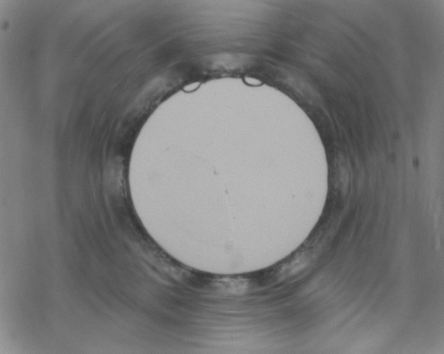 X0000068320328200605192039