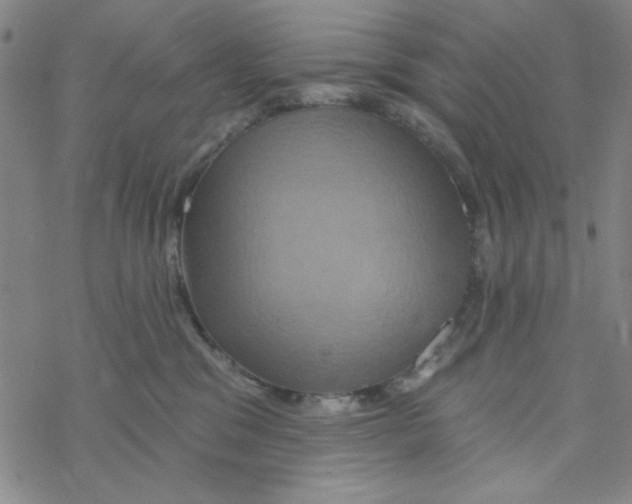 X0000068320329200605192039