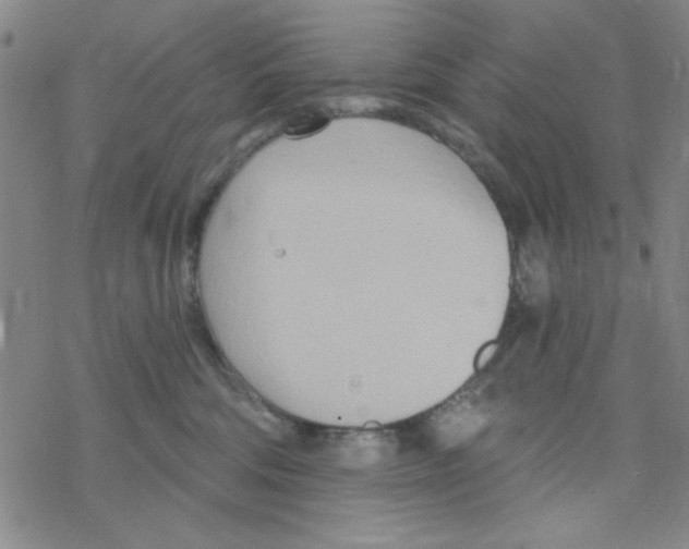 X0000068320330200605192039