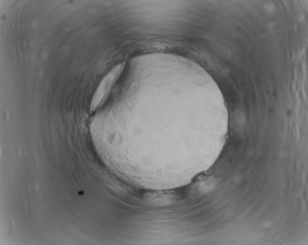 X0000068320331200605192039