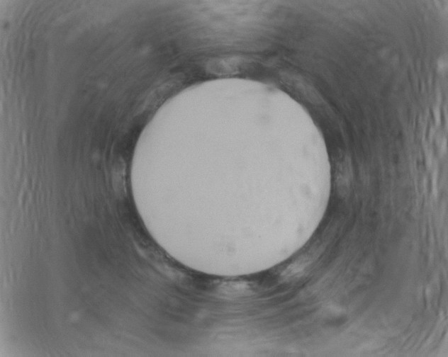 X0000068320332200605192039