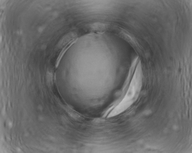 X0000068320333200605192039