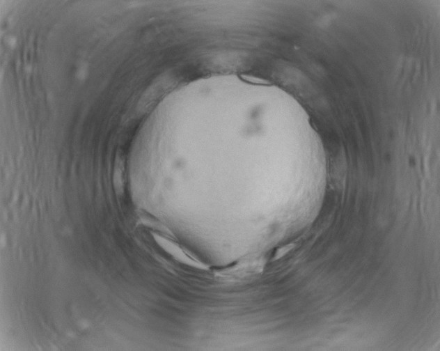 X0000068320334200605192039