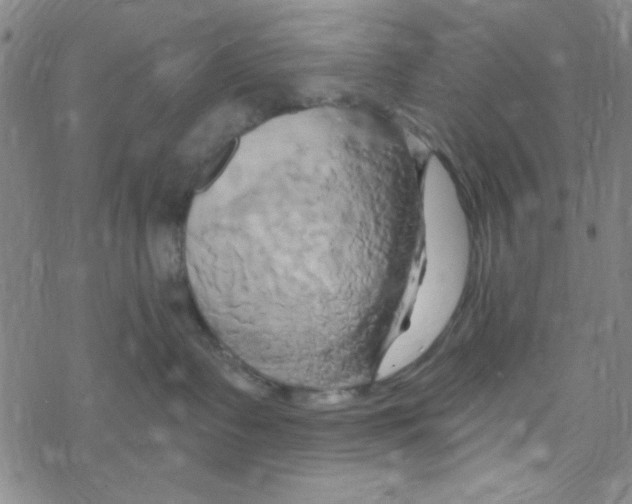 X0000068320335200605192039