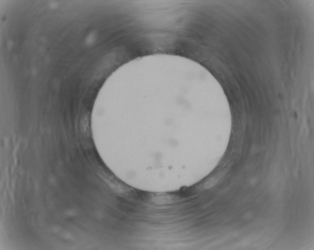 X0000068320336200605192039