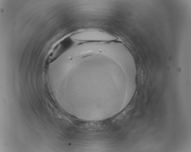 X0000068320338200605192038