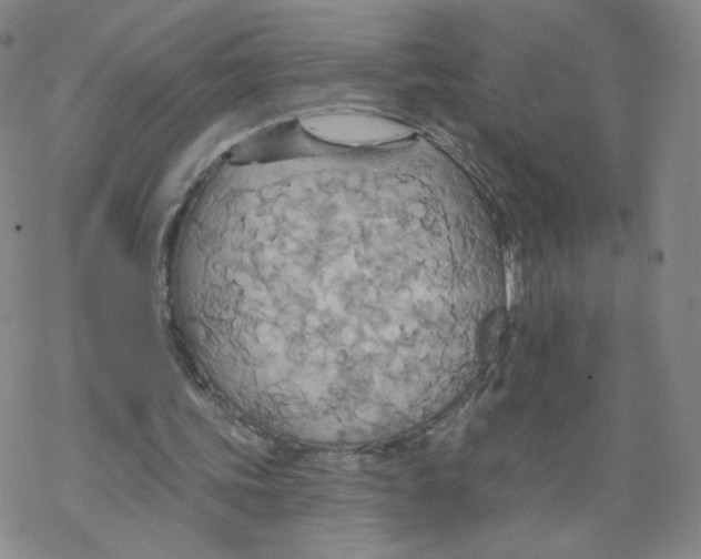 X0000068320339200605192038