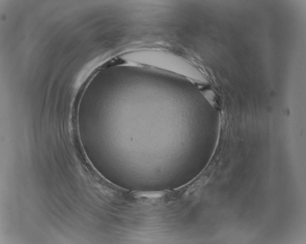 X0000068320340200605192038