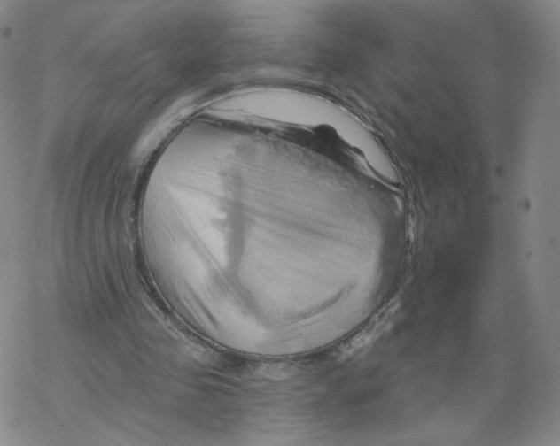 X0000068320341200605192039