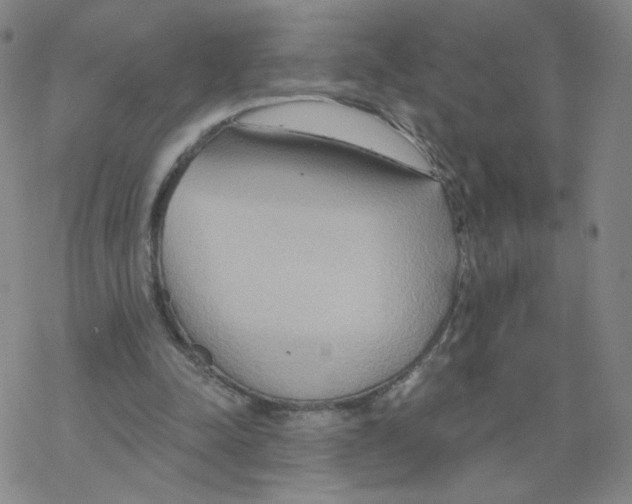 X0000068320342200605192039