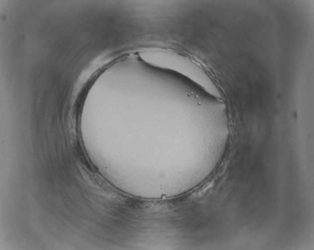 X0000068320343200605192039