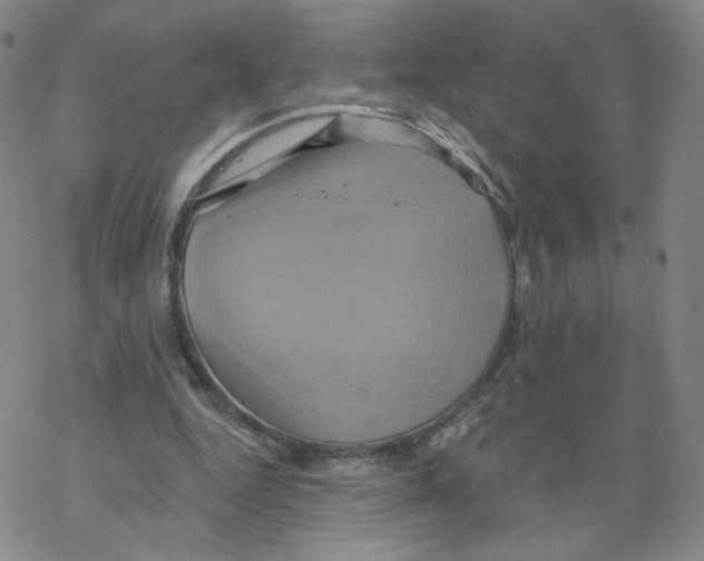 X0000068320344200605192039