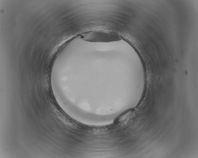 X0000068320345200605192039