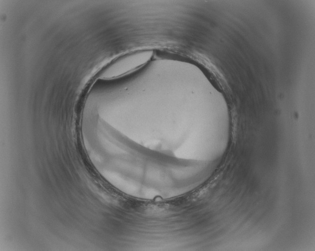 X0000068320346200605192039