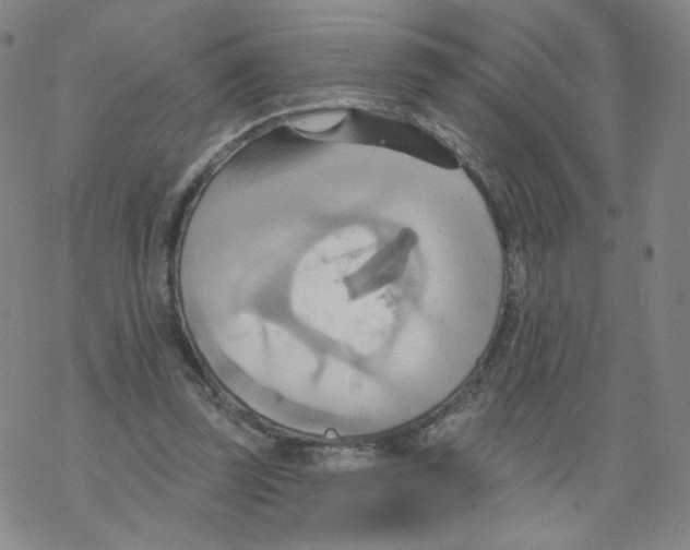 X0000068320347200605192039