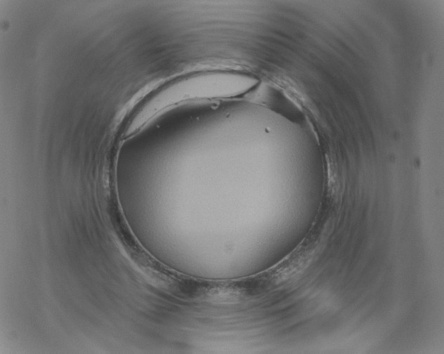 X0000068320348200605192039