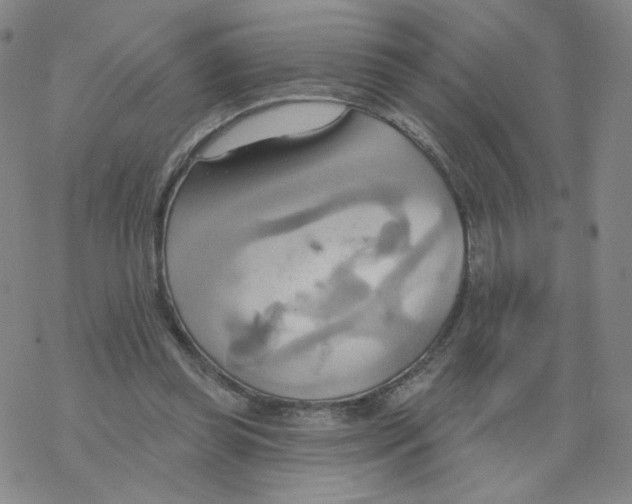 X0000068320349200605192039