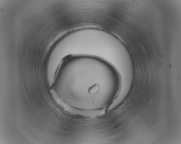 X0000068320350200605192039