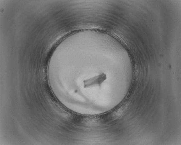 X0000068320351200605192039