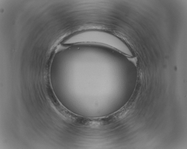 X0000068320352200605192039