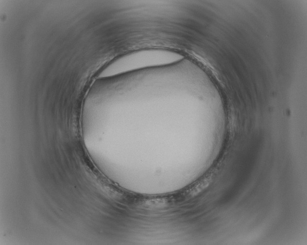 X0000068320353200605192039