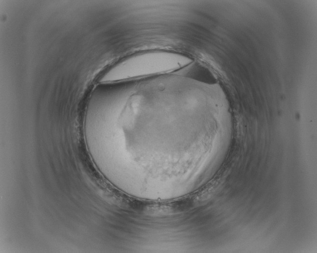 X0000068320354200605192039