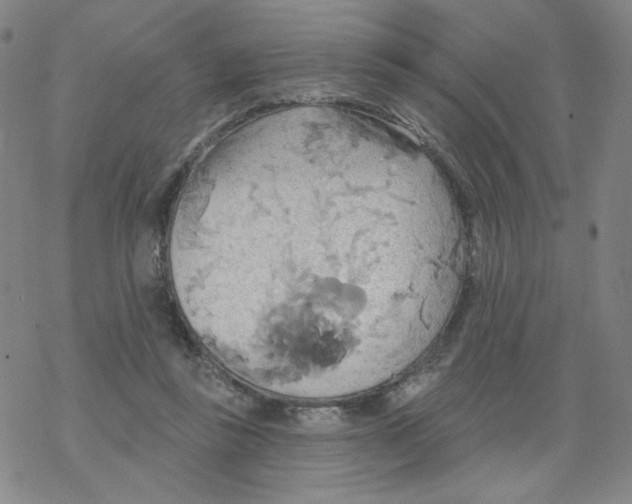 X0000068320355200605192039