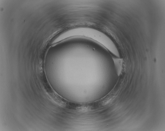 X0000068320356200605192039