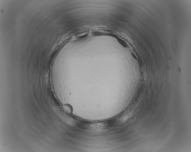 X0000068320357200605192039