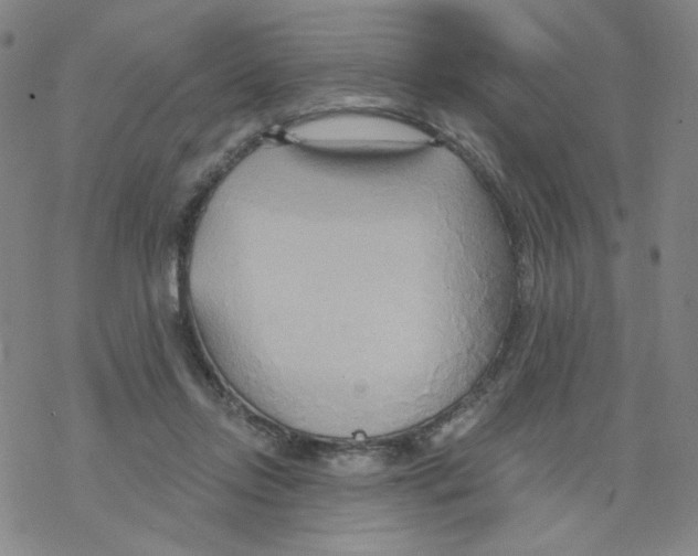 X0000068320358200605192039